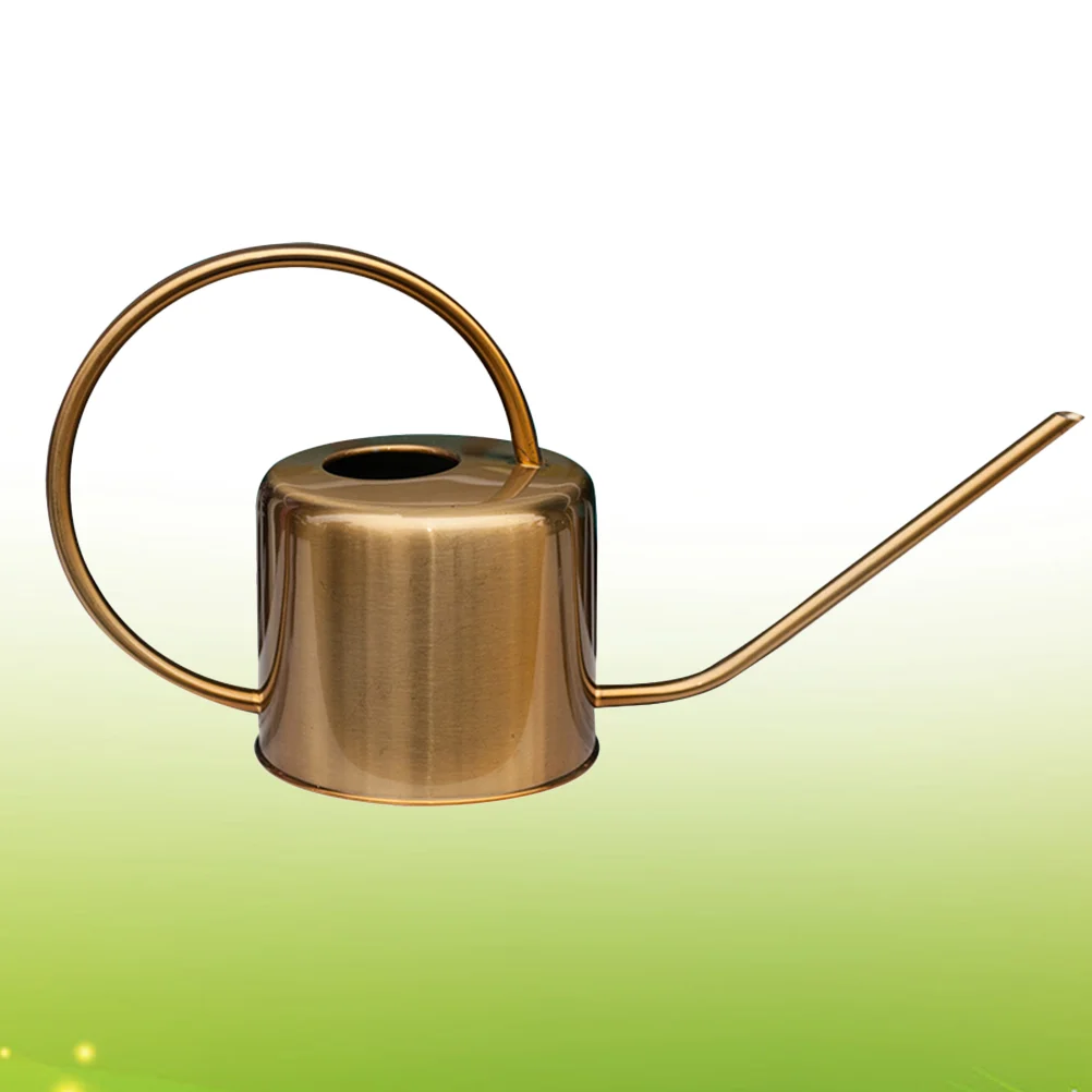 

1pc Plants Watering Can Stainless Steel Long Spout Succulents Watering Kettle Gardening Tool (Golden)