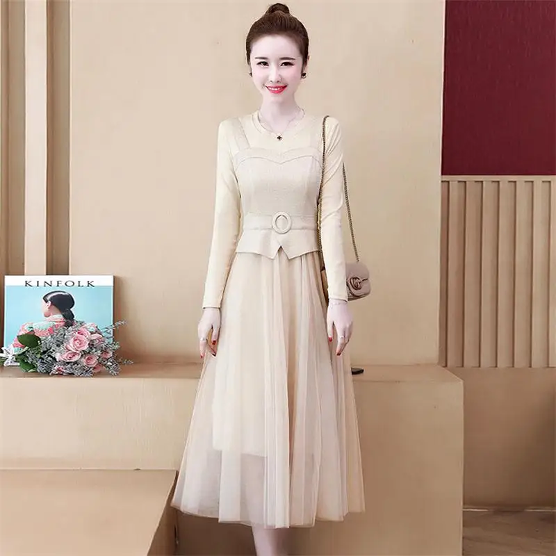 

Women 2020 Summer New Elegant Patchwork Mesh Dress Female Long Sleeve Slim Dresses Ladies Fashion Casual Pleated Vestidos T412