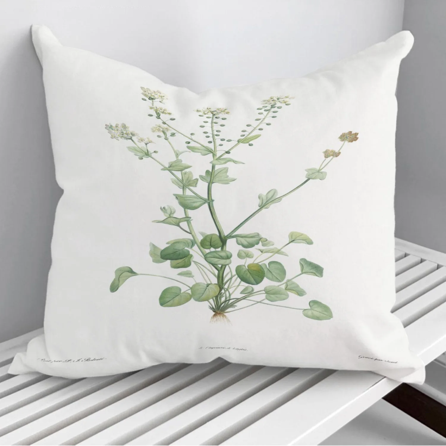

botanical ilustration Pillowcase Decorative Sofa Cushion Case Bed Pillow Cover Home Decor Car Cushion Cover 45*45cm