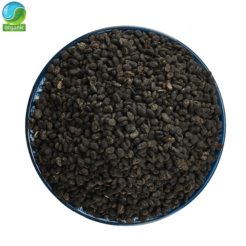 

Fructus Psoraleae Scurfpea Fruit psoralea Bu Gu Zhi Malaytea Po Gu Zhi