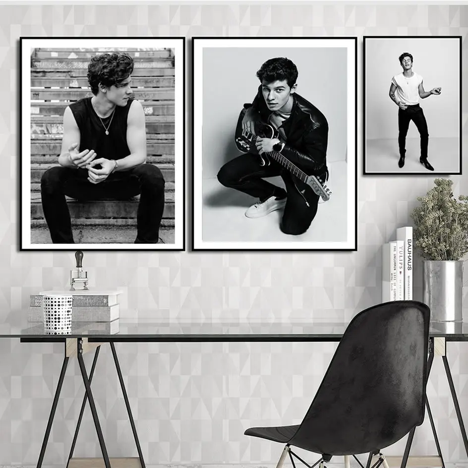 Плакат и принты художественная живопись черный белый Шон Мендес поп музыка ПЕВЕЦ