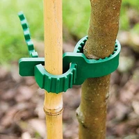 80 dropshipping 10pcs reusable adjustable tree fixing buckle plastic climbing plants tree ties garden supplies