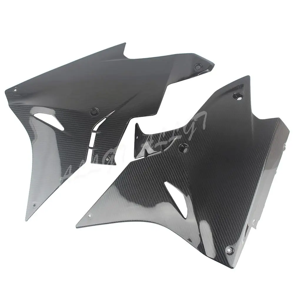 Предварительно Preg кастрюли для нижнего живота из углеродного волокна BMW S1000RR 2017