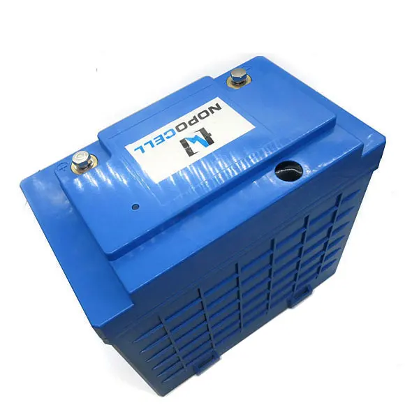 

Deep Cycle LiFePO4 Power Bank Pack Lithium Batteries 12V 100Ah