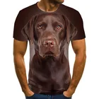 Смешная собака Творческий узор Мужская футболка мужская повседневная Летняя обувь модные 3DT-Shirts мужской свитер с О-образным вырезом футболка размера плюс, уличная одежда