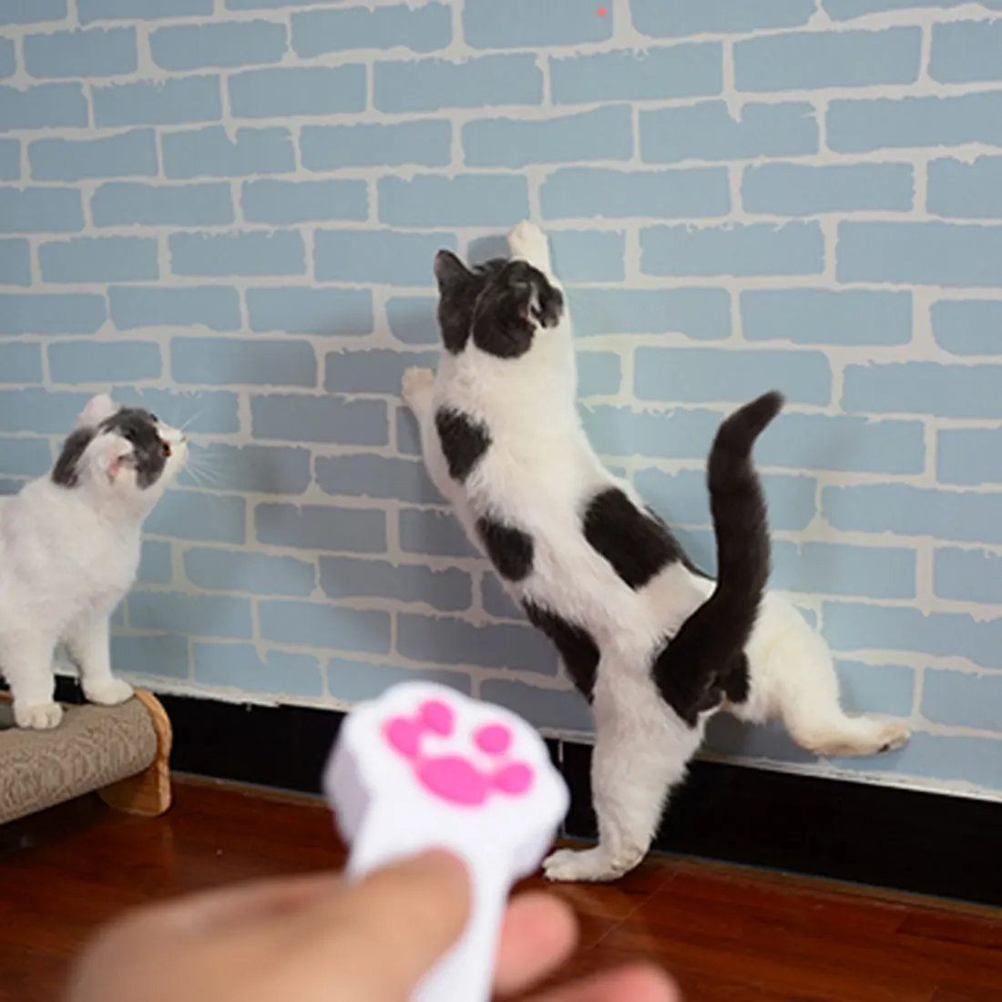 

Interactive Automatic Red Laser Pointer Claw Funny Cat Exercise Amusement Toy Pet Product Infrared Light Pen Exercise Toy