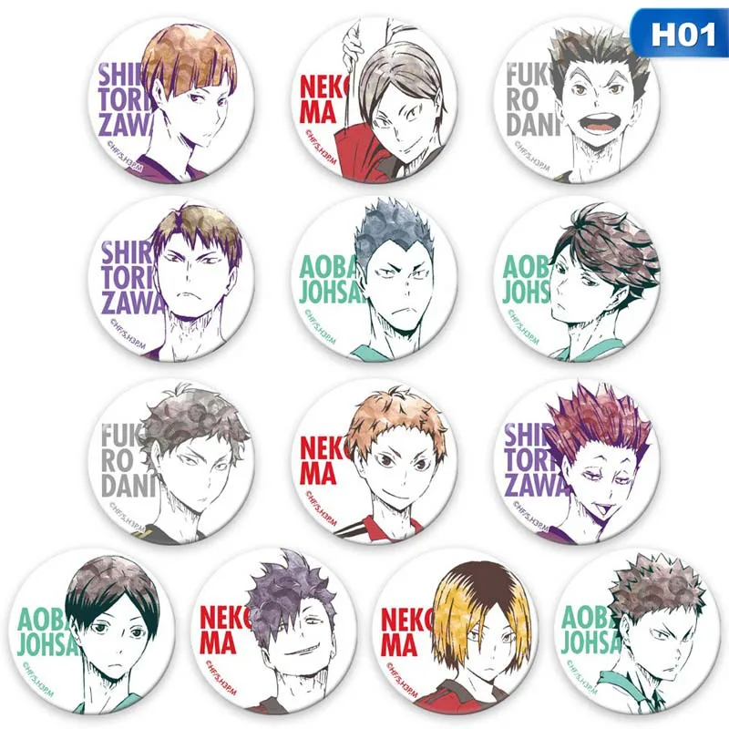 

13Pc Anime High Kyuu!! enamel pin Volleyball Boy Cos Tsukishima Firefly Sun Xiang Cosplay Bedge Cartoon Bags Badge Button Brooch