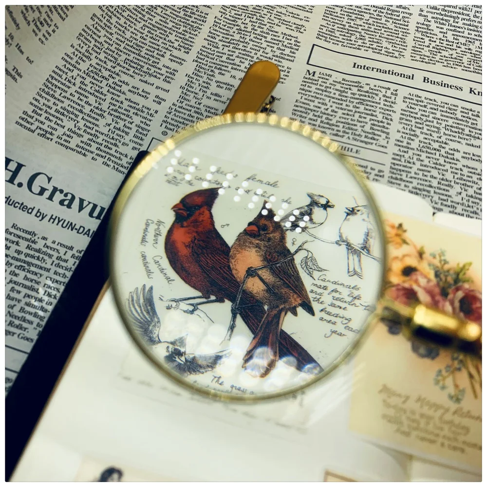 12 шт./упак. 2019 винтажная история Птица Леди наклейка Сделай Сам Рукоделие