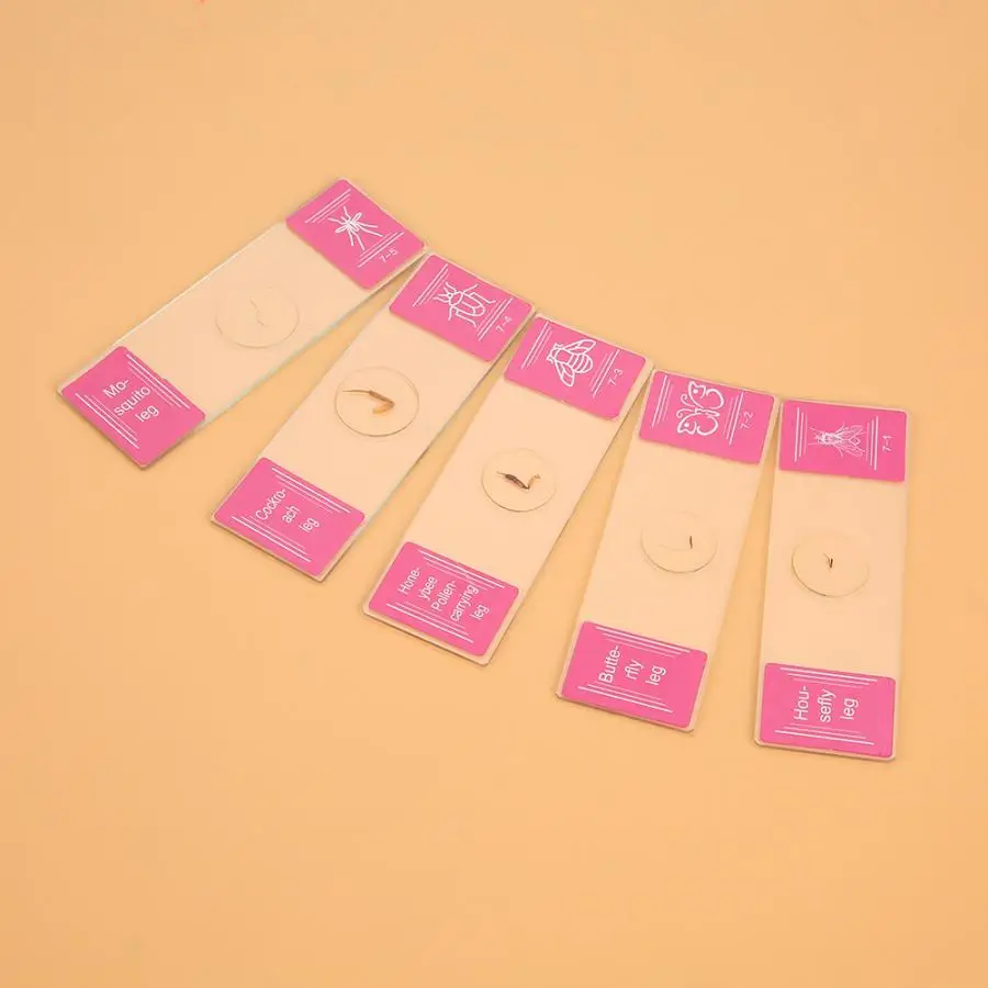 Стеклянные слайды подготовленные для микроскопа лабораторные образцы набор