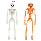 Хэллоуин со скелетом-тыквой, игрушка, анатомия, украшение для костей человека, секретная камера, инструменты для обучения