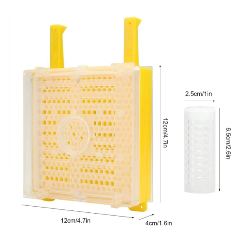 

Beekeeping Queen Rearing Kit Cell Cups for Bee Breeding Beekeeper Beehive Tools QX2E