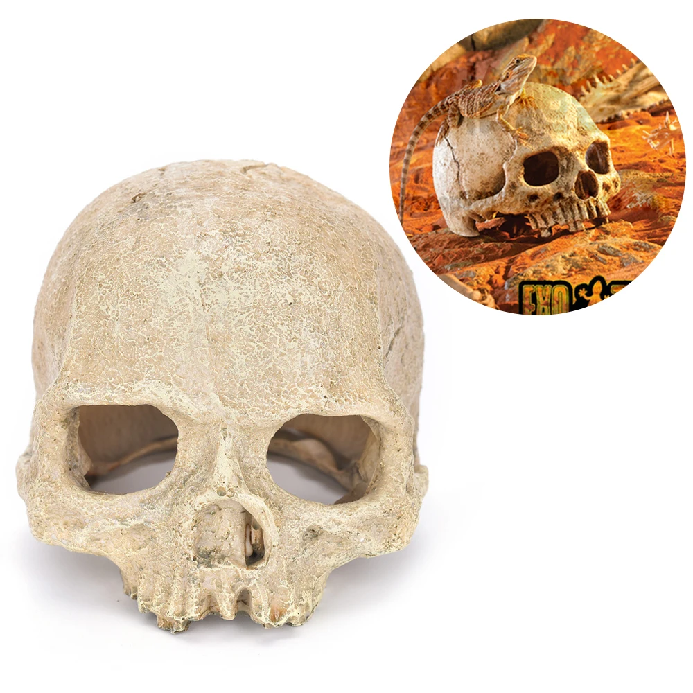 1 шт. полимерный Пасхальный остров голова костяного черепа статуя для ящериц