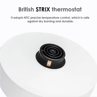 Если и покупать чайник, то только такой 

3 400 рублей#5