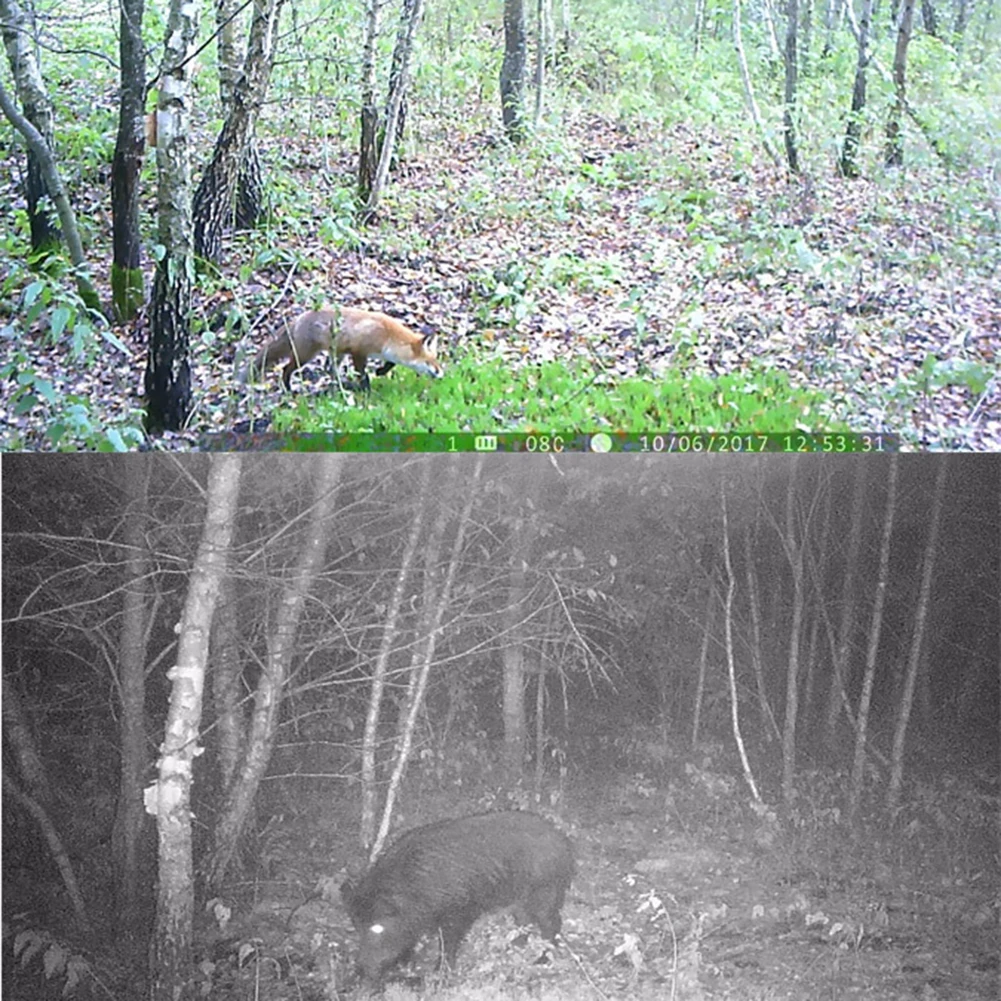 Фотоловушка HT 001B Trail Camera 12MP 1080P 30pcs Инфракрасные светодиоды 850nm охотничья камера IP54