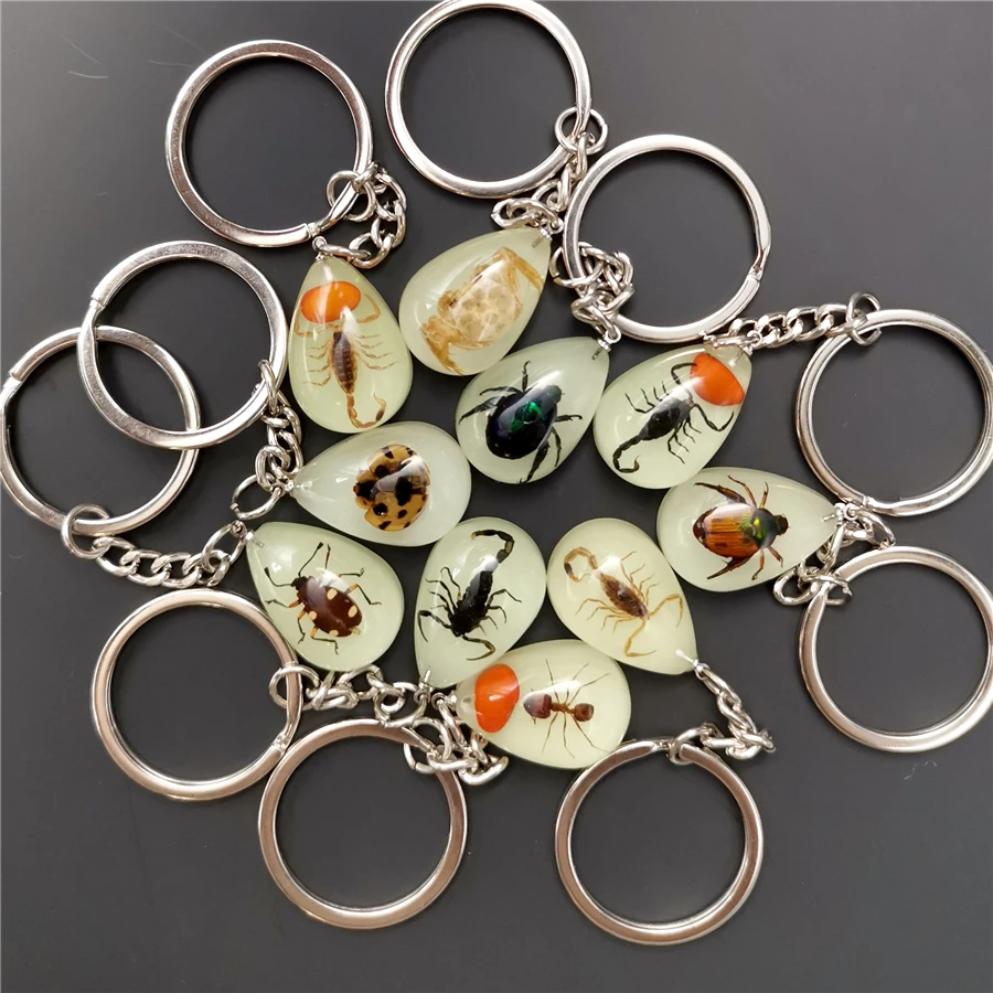 10pcs Scorpion Crab Keychain Glow in the Dark Real Insect Keychain Beetle Keychains for MenKey Ring Specimens Collecting Trinket