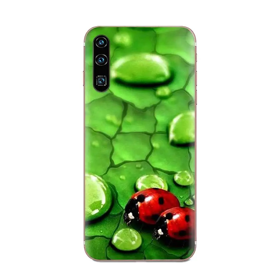 Ультрамягкие Чехлы для Samsung Galaxy Note 8 9 10 Pro S4 S5 S6 S7 S8 S9 S10 S11 S11E S20 Edge Plus|Бамперы| |