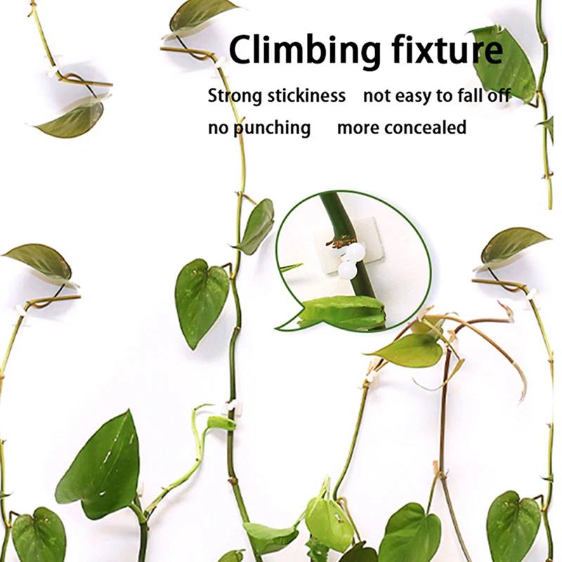 

20/50pcs Invisible Wall Rattan Clamp Clip Invisible Wall Vine Climbing Hook Rattan Fixed Clip Bracket Plant Stent Supports