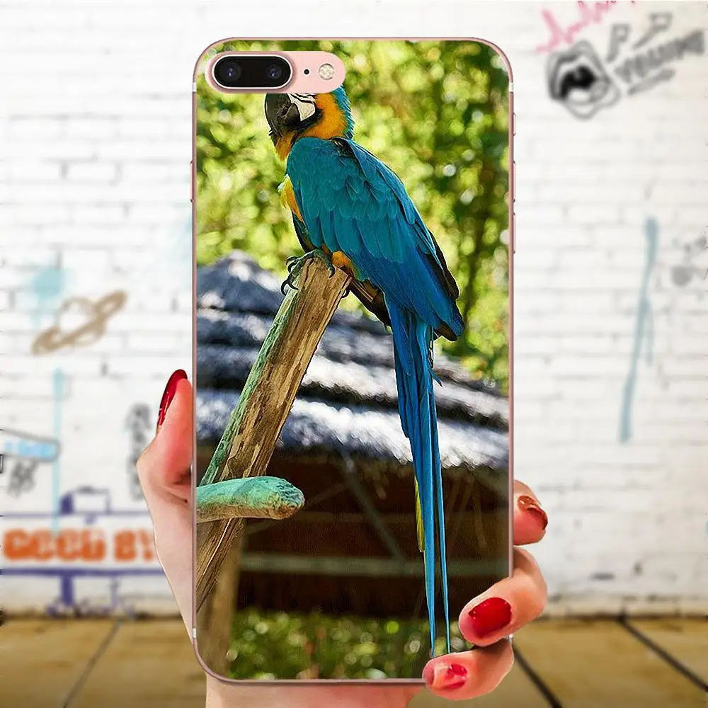 Для Xiaomi Redmi Mi 4 7A 9T K20 CC9 CC9e Note 7 9 Y3 SE Pro Prime Go Play Мягкий ТПУ Пользовательский Дизайн
