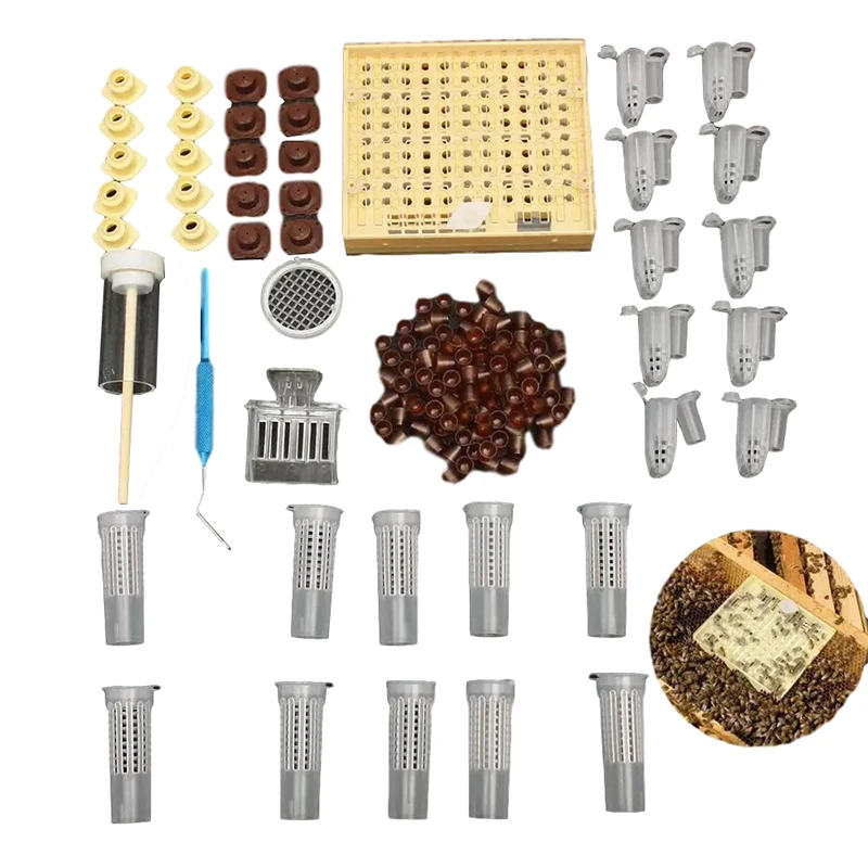 

1 set beekeeping queen rearing tools grafting needle plastic Queen bee cage cover equipment for beekeeping marker queen bee