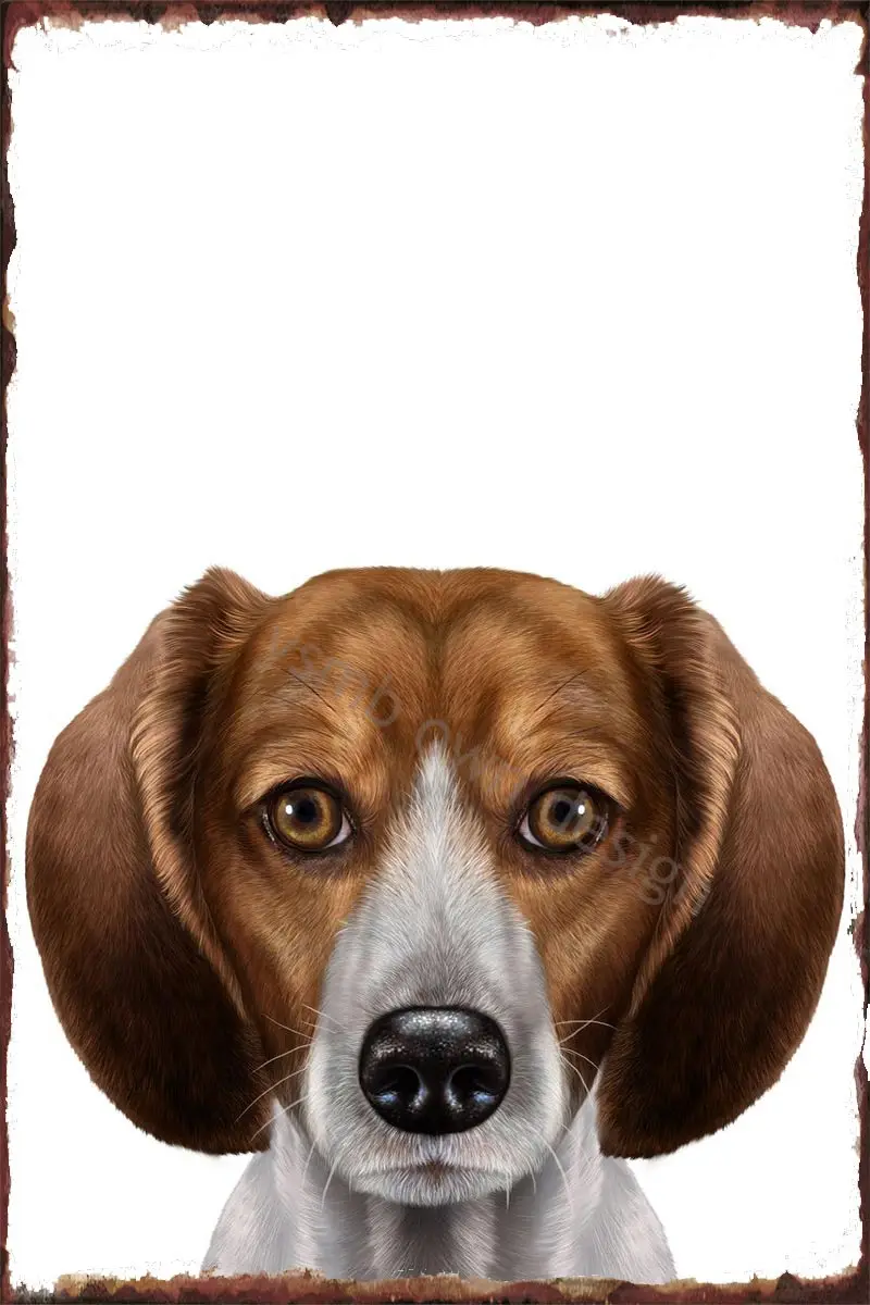 

Винтажный металлический знак Beagle Dog, жестяные таблички, Настенный декор, украшение для комнаты в стиле ретро для художественного паба, дома, ...