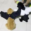 Изображение товара 1