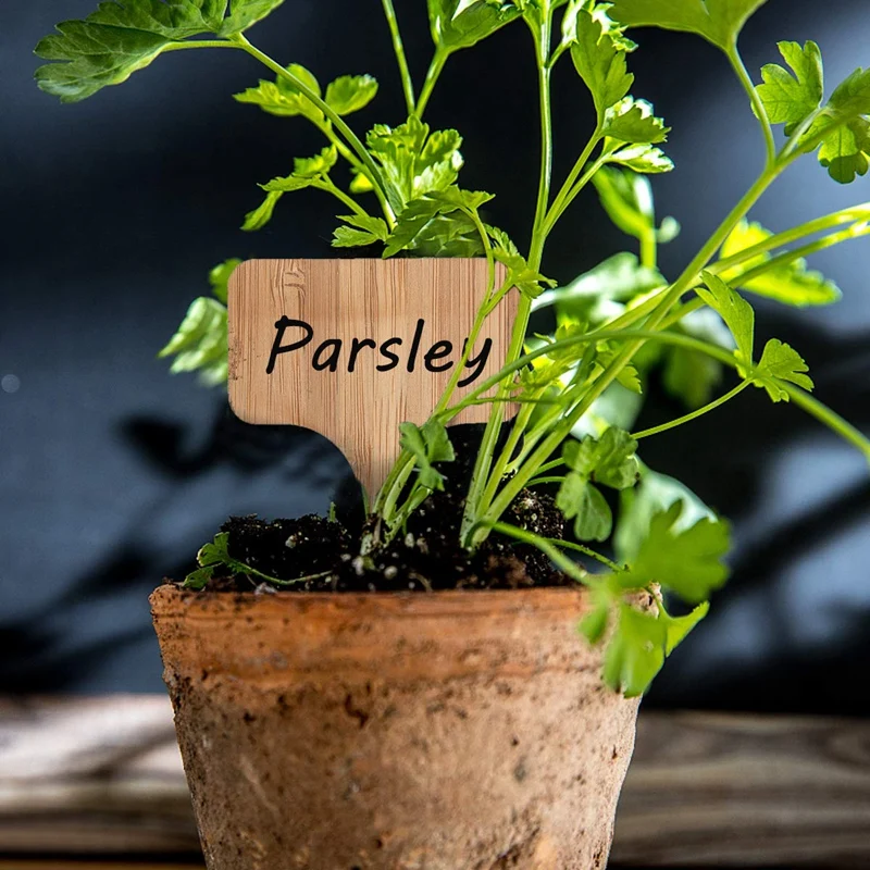 

Tags Wooden Herbs Flowers Markers Potted Eco-friendly Plant Labels Bamboo Garden Tool Applicable To Horticultural Planting