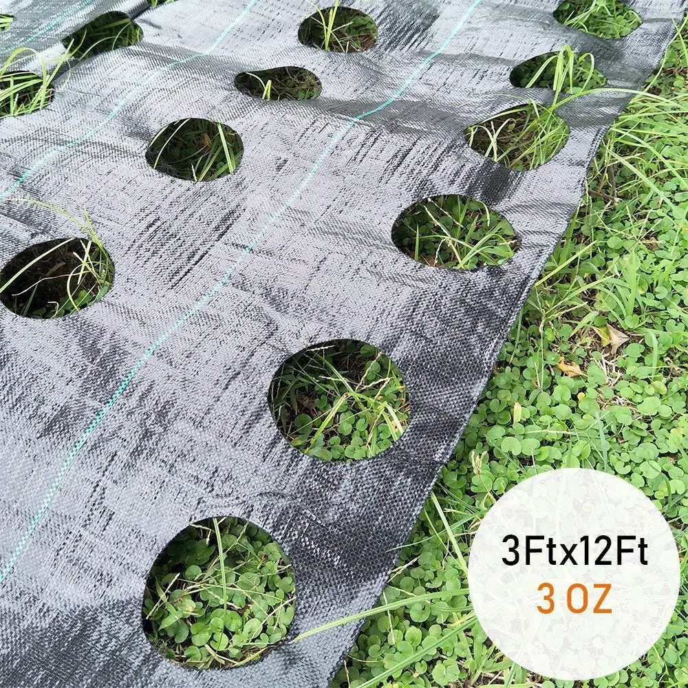 агроспан для клубники. черный укрывной материал от сорняков. черный укрывной материал от сорняков. 1х100 м; 100 г/м2) рулон мегапласт 1437. 6x10 60 г-кв.