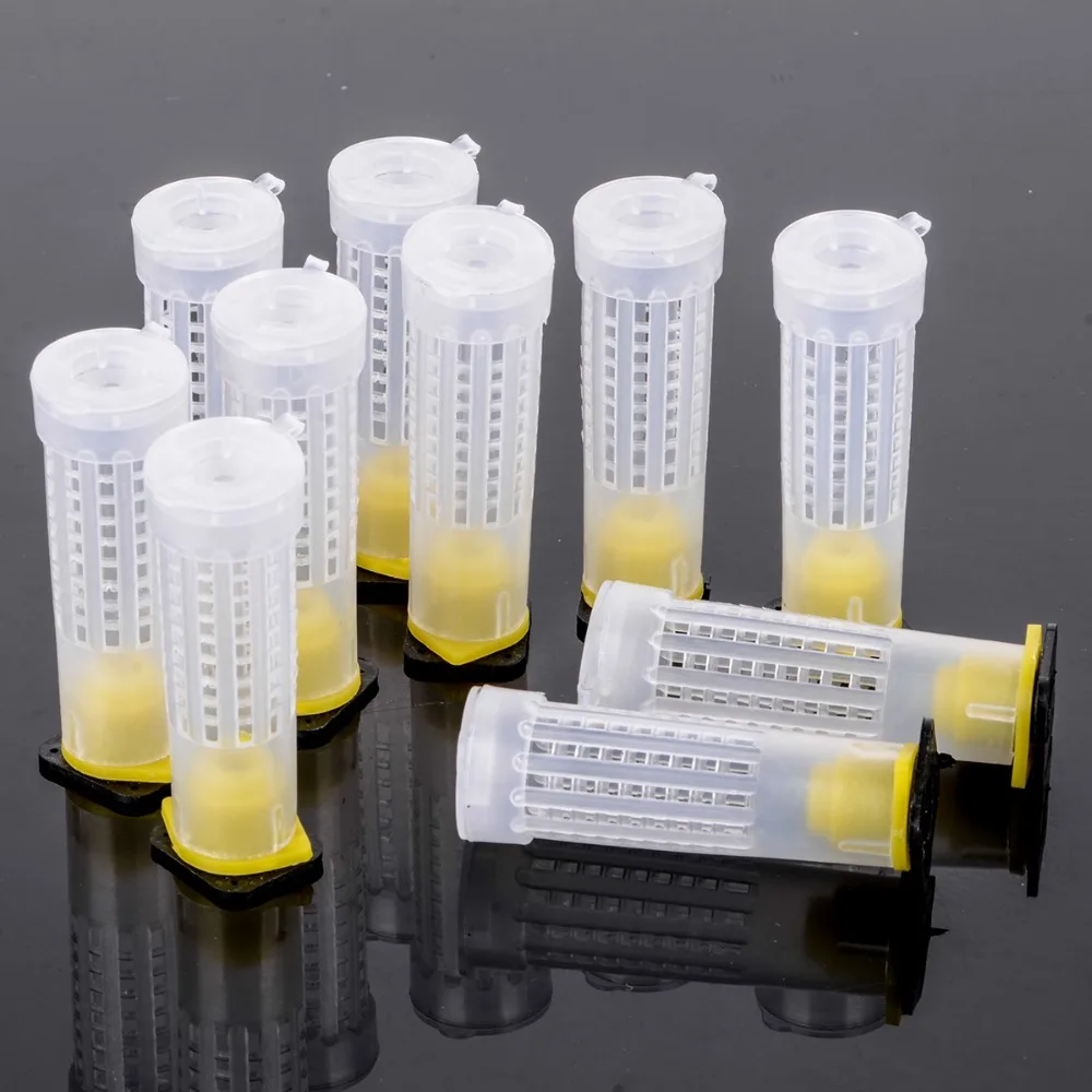 

50/70/100Pcs bee queen cages plastic protective cover cage cell box cup rearing new bees king tools beekeeper beekeeping set