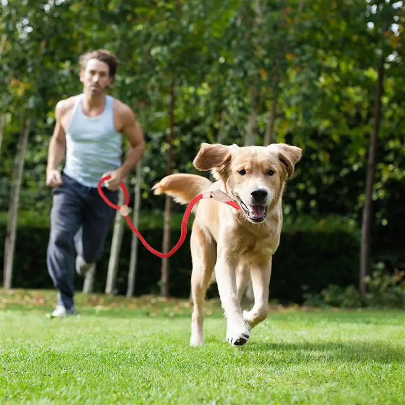 UEETEK Dog Pet Training Lead Durable Leash for Large Dogs Medium-sized | Дом и сад
