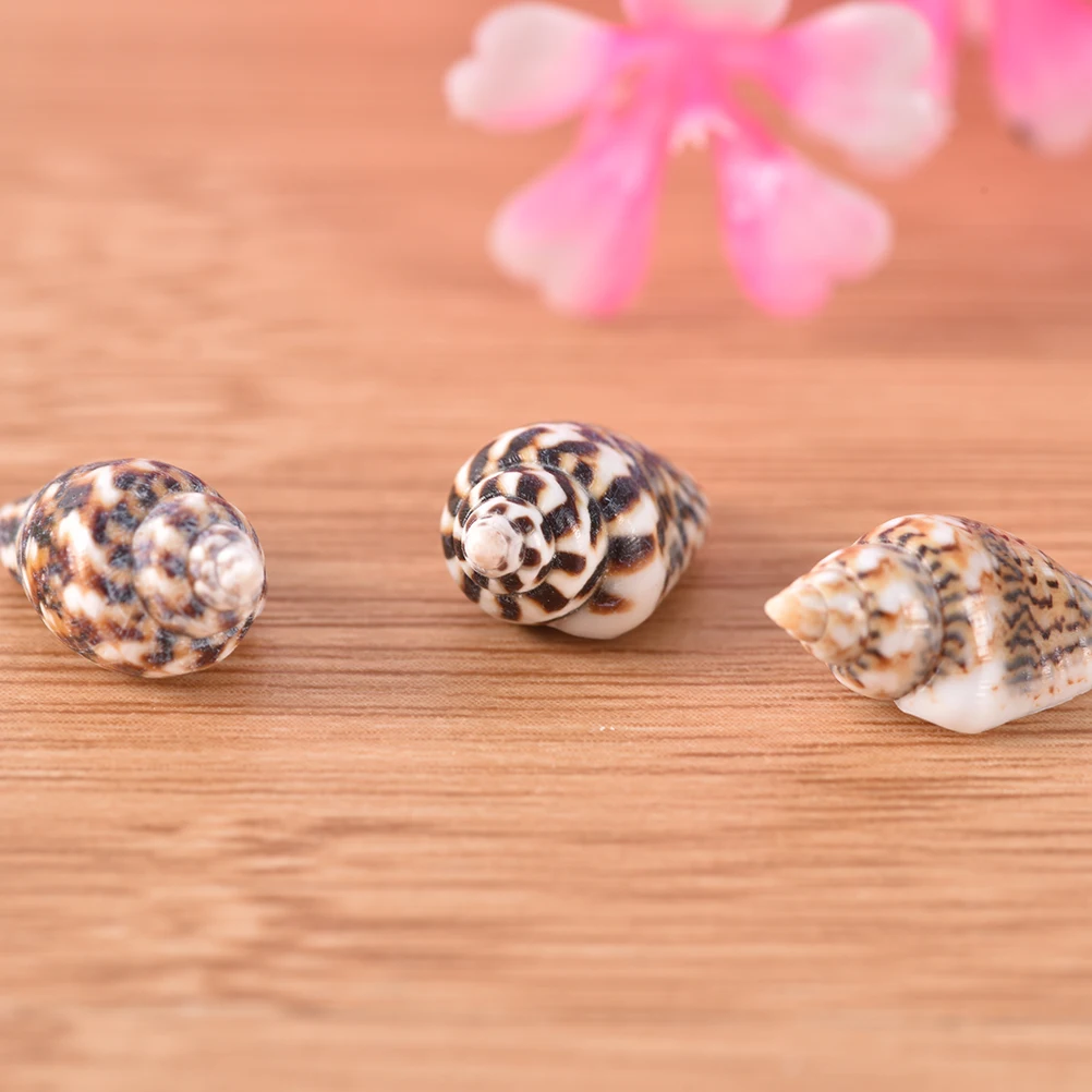 

1Pc Conch shells starfish coral reefs small yellow rice snail shell seascape natural micro landscape ornaments random color