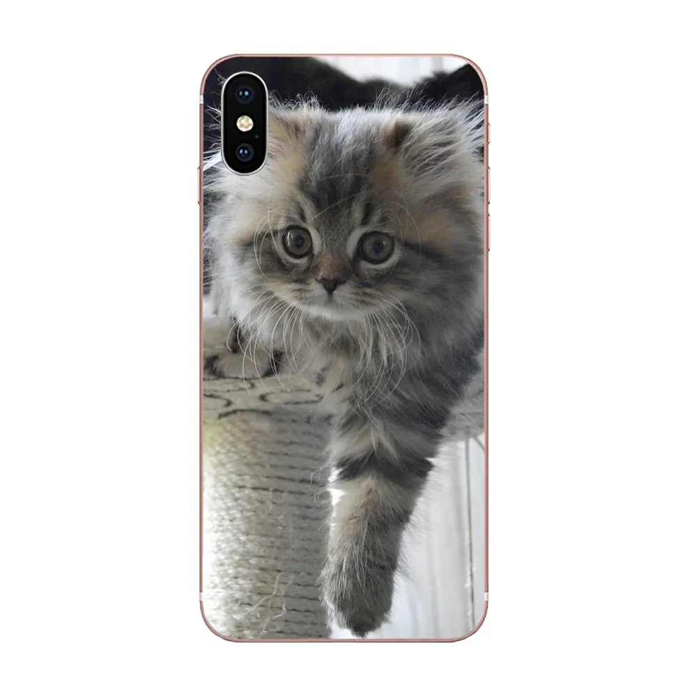 Soft TPU Fashion For iPhone SE2020 11 Plus Pro X XS Max XR 8 7 6S SE 4S 5 5C 5S Print Cute Melancholy Kitten | Мобильные телефоны и
