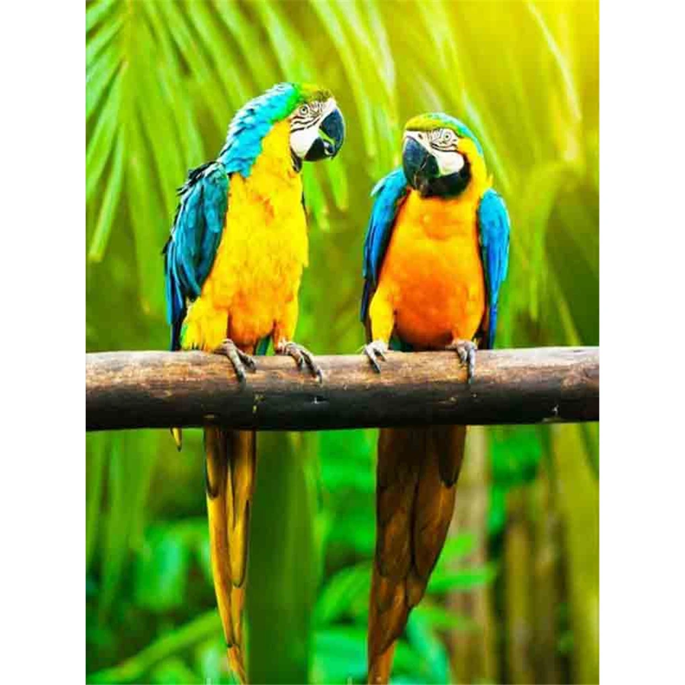 

Набор для вышивки крестиком, с изображением птиц, попугаев, 11 карат