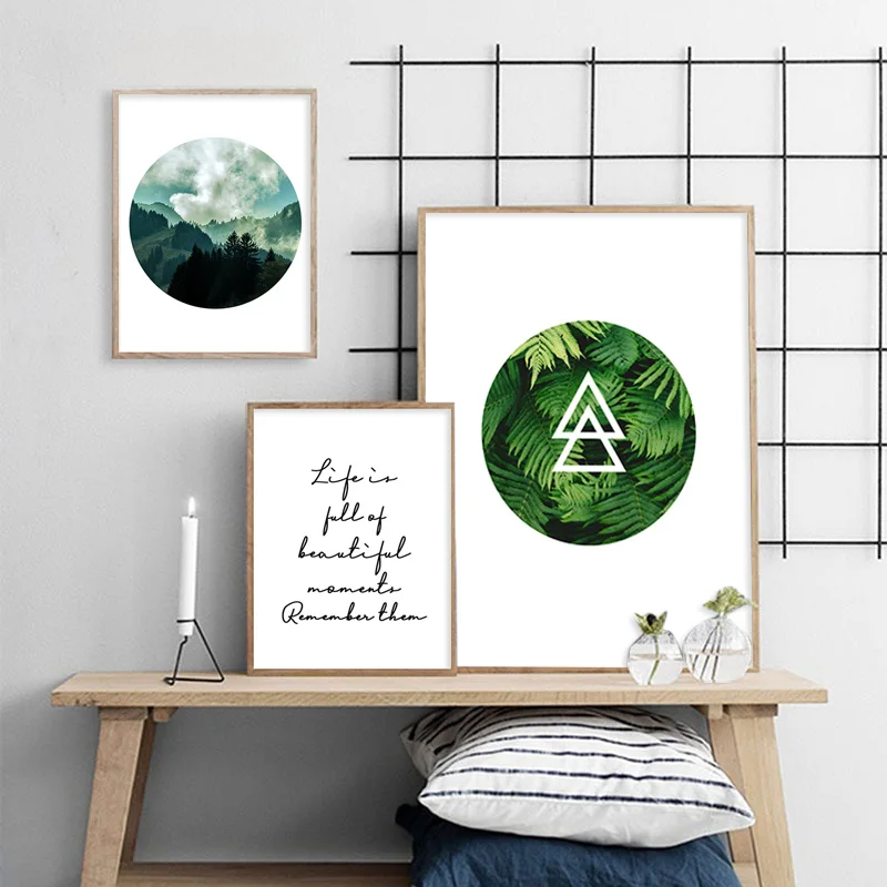 Зеленое растение суккулентное изображение природа пейзажи скандинавский пейзаж