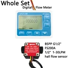 Цифровой расходомер US211M, тотализатор расхода с нейлоновым датчиком расхода воды FS200A, G12 