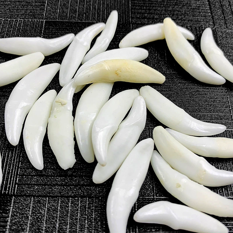 Подвеска-Клык в виде тибетского животного подвеска амулет | Украшения и