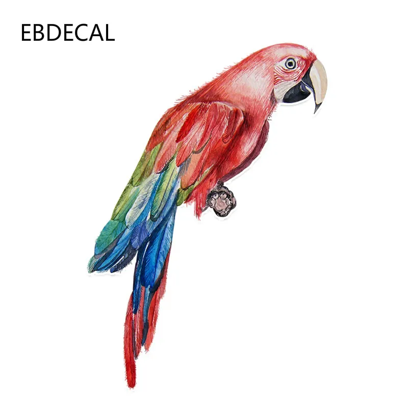 Ebdeckle крутой попугай в авто машина бампер окно настенные переводные наклейки для
