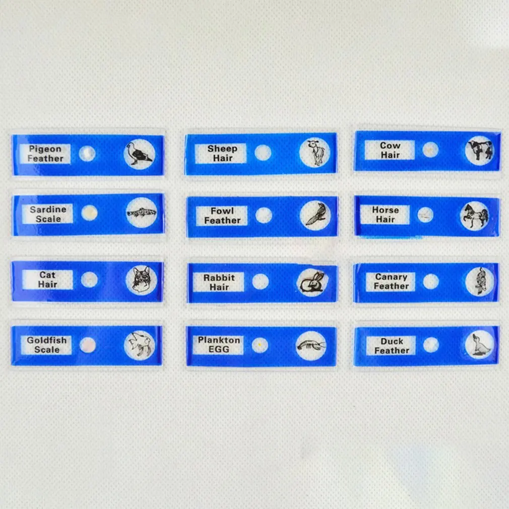 Моделирование биологической науки Hd микроскоп детская головоломка Раннее