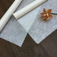 rice paper 10sheets see through half ripe xuan zhi chinese thin calligraphy painting paper mulberry long fiber lantern paper