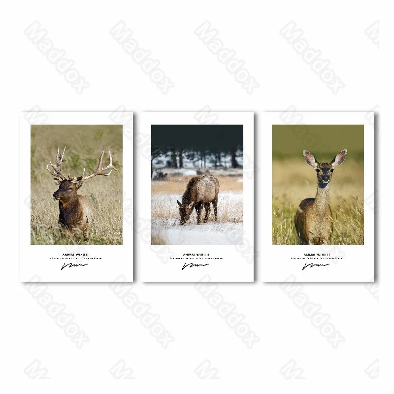 

Waterproof Ink Frameless Style Nature Wild Animals Pictorial Realistic Pictures Living Room Decoration Painting Niche Creative