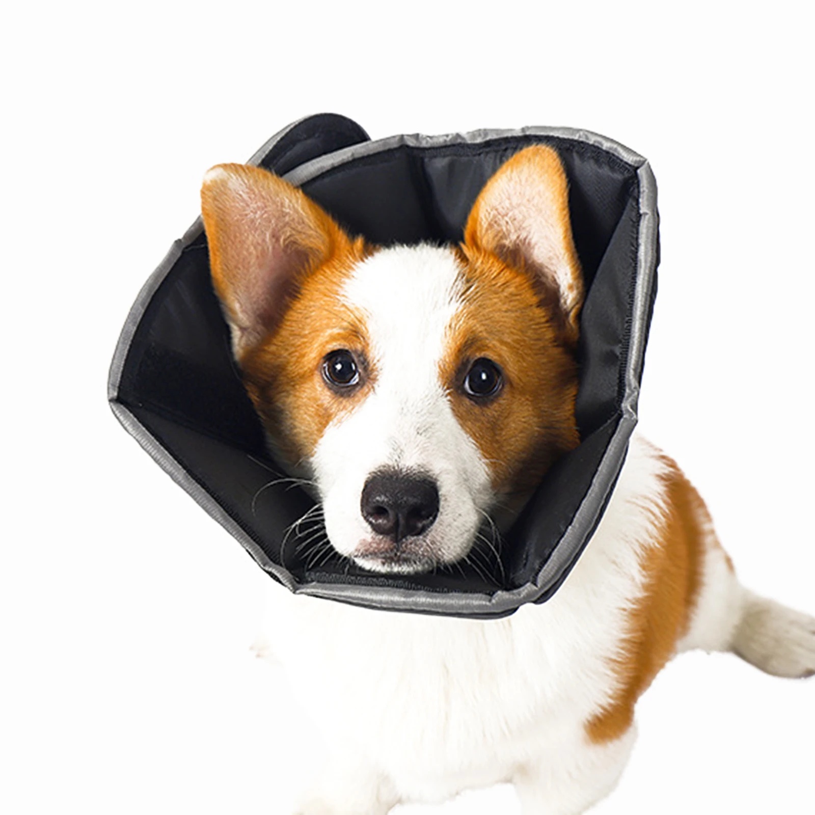 

Pet Protection Cone Adjustable Recovery Collar Prevent Licking Scratching Biting After Surgery Recovery Cone For Dogs Cats