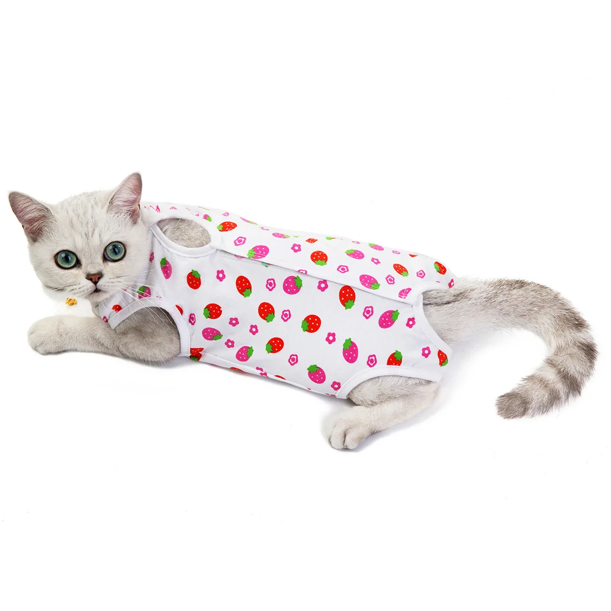 

Cat Clothing Pet Cat Disinfection Clothing Clothes Spring and Summer Cat Protective Anti-Licking Weaning Costume