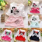 2019 новое летнее Хлопковое платье с длинными рукавами и Минни для девочек детская одежда детское платье принцессы Повседневная одежда