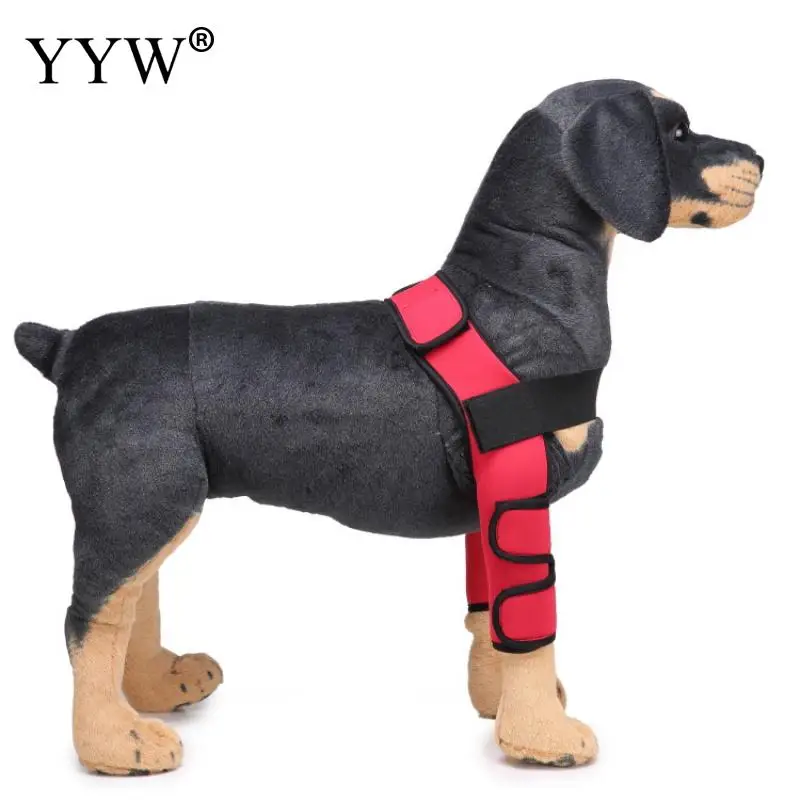 Товары для домашних животных уход за собаками наколенник леггинсы собак