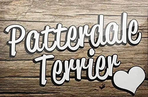 

Metal Sign Patterdale Terrier Dog Breed England Tin Sign Metal Sign 8X12 Inches