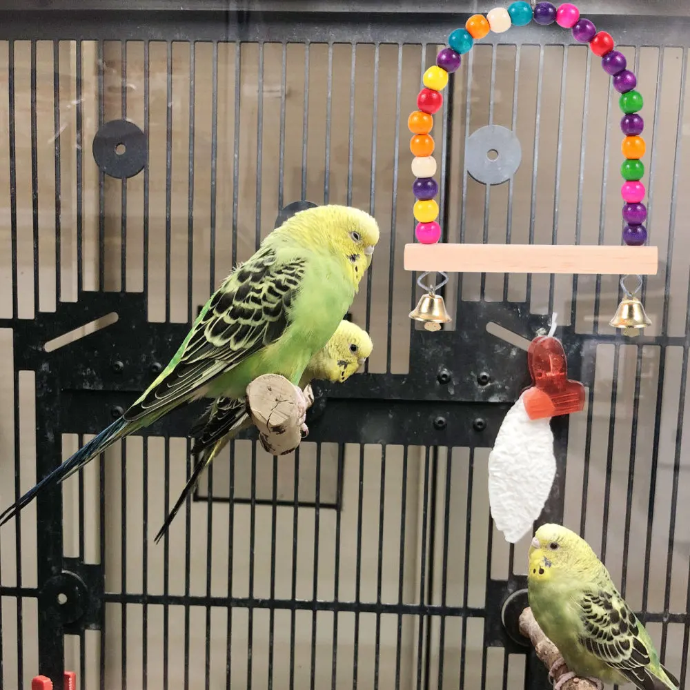 

Colorful Pet Bird Swing Parrot Climbing Swing Stick Bird Cage Hanging Swing