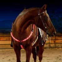 led horse harness breastplate nylon webbing night visible horse riding equipment equestrian supplies