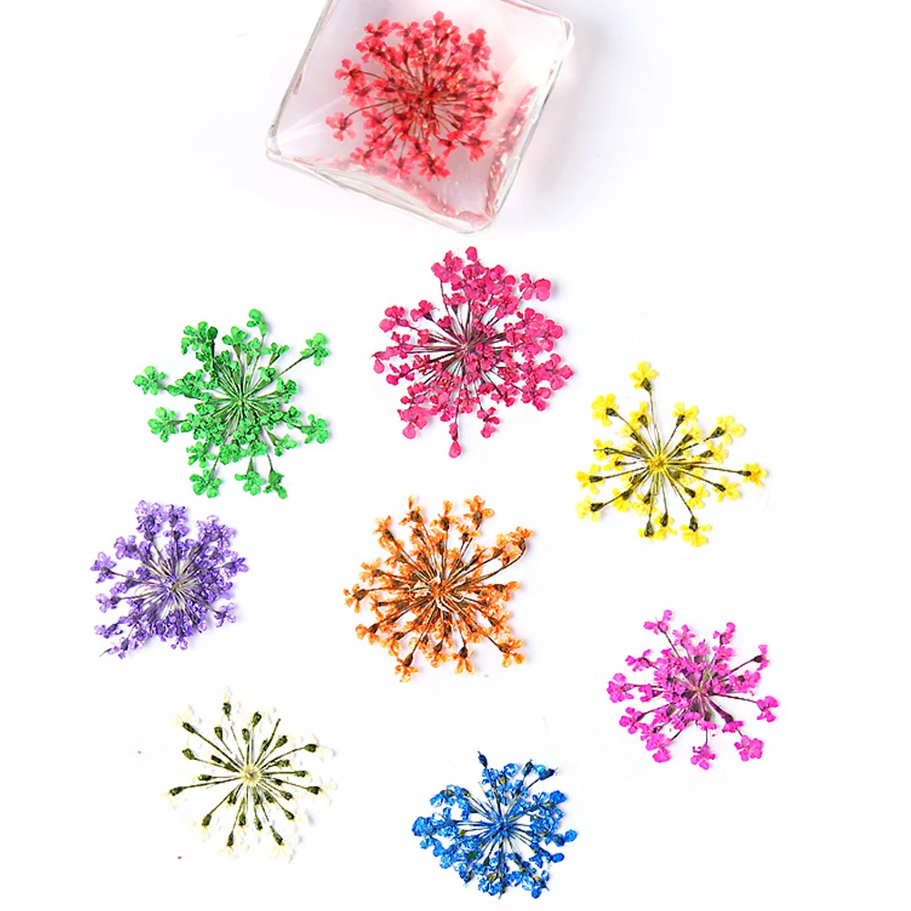 Прессованный высушенный цветочный сухой подвеска с плодами растений ожерелье