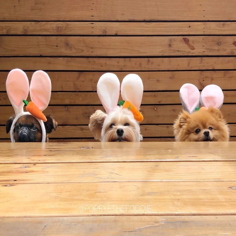 Забавная шапочка для собак и кошек милый костюм теплая с кроликом аксессуары