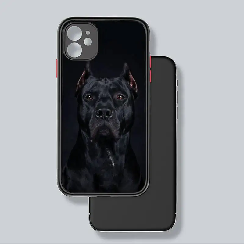 

Dachshund Doberman dog funny art Phone Case matte transparent For iphone 7 8 11 12 plus mini x xs xr pro max cover