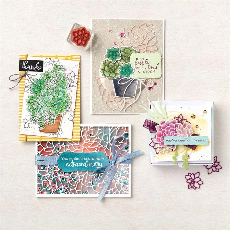 Просто суккуленты набор для стемпинга и координации умирает цветочный горшок